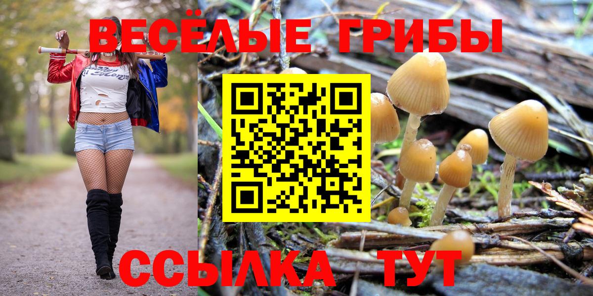 Галлюциногенные грибы GOLDEN TEACHER  Вход с VPN  Шатура  Псилоцибиновые грибы Magic Shrooms 