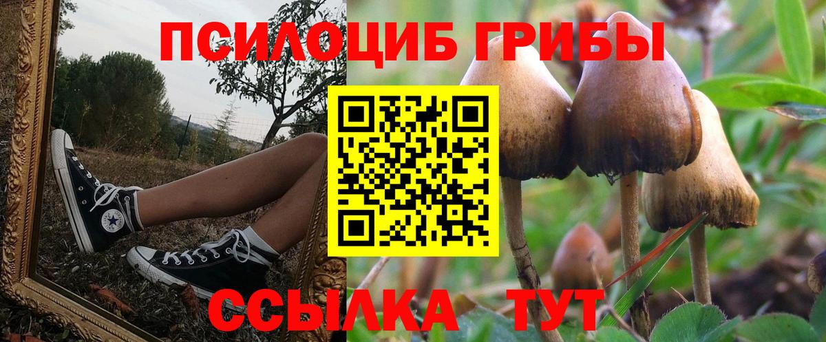 Псилоцибиновые грибы ЛСД Шатура
